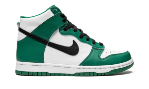 nike-dunk DR0527-300