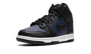 nike-dunk DJ0383-400