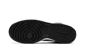 nike-dunk DJ0383-400