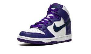 nike-dunk DH9751-100