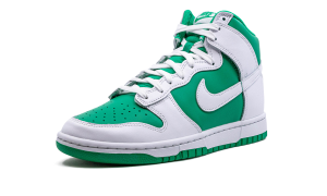 nike-dunk DV0829-300