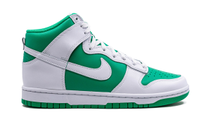nike-dunk DV0829-300