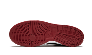 nike-dunk 313171-362