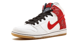 nike-dunk 305050-100