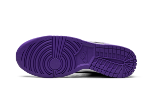 nike-dunk DV0829-500