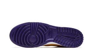 nike-dunk DD1399-500