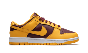 nike-dunk DD1391-702
