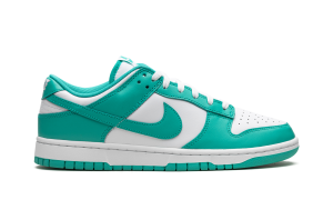 nike-dunk DV0833-101
