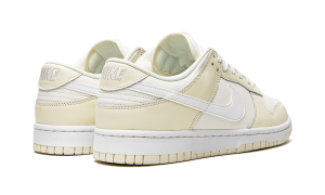 nike-dunk DJ6188-100
