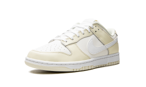 nike-dunk DJ6188-100