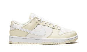 nike-dunk DJ6188-100