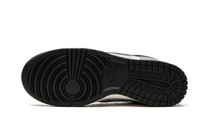 nike-dunk DQ5015-063
