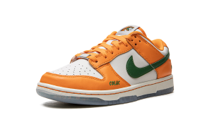 nike-dunk DR6188-800