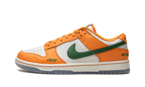 Nike Dunk Low “Florida A&M” (DR6188-800)