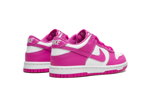 nike-dunk FJ0704-100