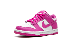 nike-dunk FJ0704-100