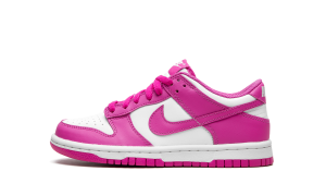nike-dunk FJ0704-100