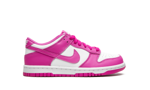 nike-dunk FJ0704-100