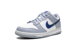 nike-dunk FJ4668-400