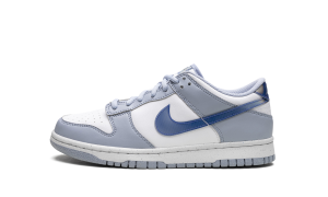 nike-dunk FJ4668-400
