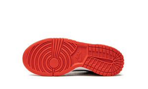 nike-dunk DD3363-100