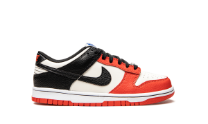 nike-dunk DD3363-100