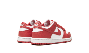 nike-dunk DC9564-111