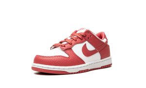 nike-dunk DC9564-111