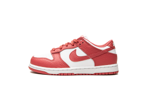 nike-dunk DC9564-111