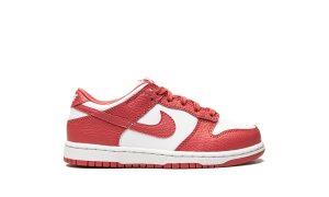 nike-dunk DC9564-111