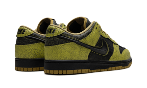 nike-dunk HV6103-300