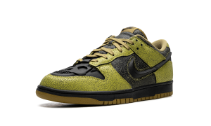 nike-dunk HV6103-300