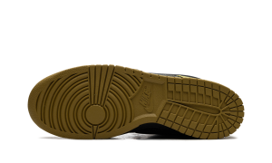 nike-dunk HV6103-300