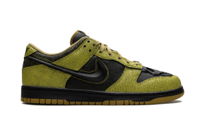 nike-dunk HV6103-300