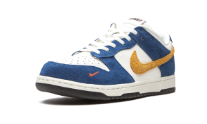 nike-dunk CZ6501-100
