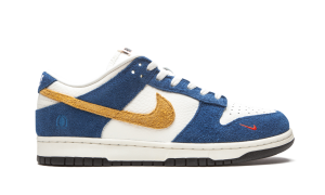 nike-dunk CZ6501-100