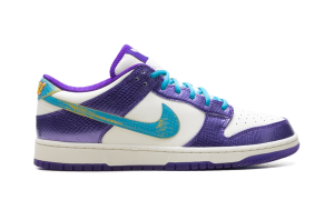 nike-dunk IM0586-500