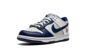nike-dunk DD3363-001