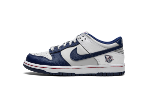 nike-dunk DD3363-001