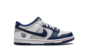 nike-dunk DD3363-001