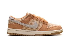 nike-dunk HJ5864-200