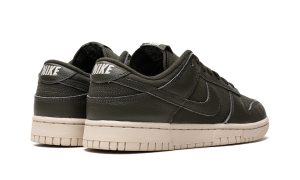 nike-dunk DZ2538-300