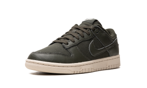 nike-dunk DZ2538-300