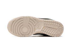 nike-dunk DZ2538-300