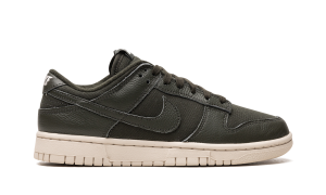 nike-dunk DZ2538-300