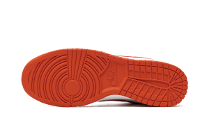 nike-dunk DV0831-103