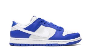 nike-dunk FN3416-001