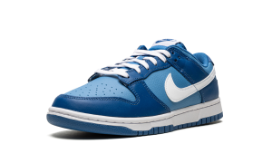 nike-dunk DJ6188-400