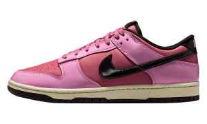Nike Dunk Low Retro "Donut" (IM4415-600)