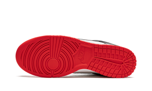 nike-dunk DD3363-100